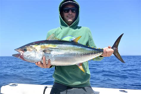 ocean fishing|How to Go Deep Sea Fishing: The Complete Guide for 2025.